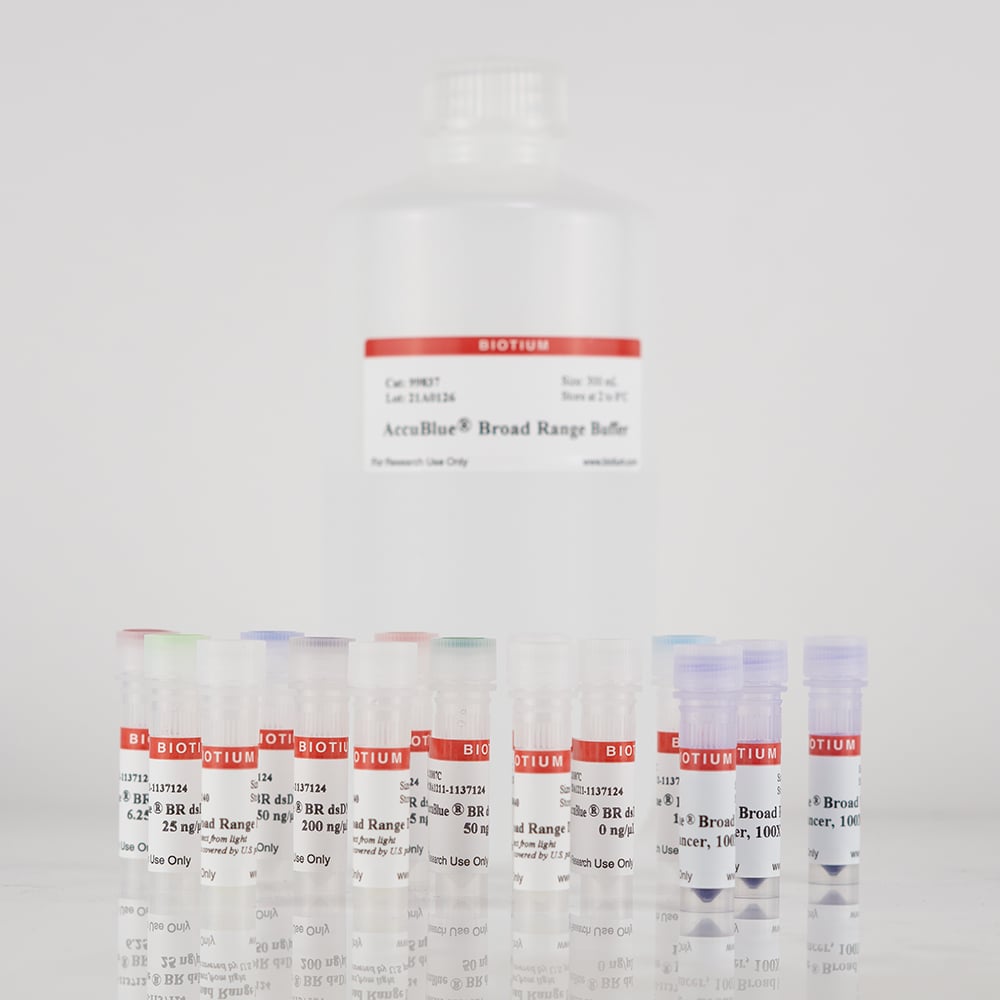 AccuBlue® Broad Range dsDNA Quantitation Kit with DNA Standard, trial size (200 assays)