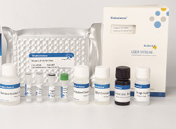 Rat Platelet antibodies IgG ELISA kit