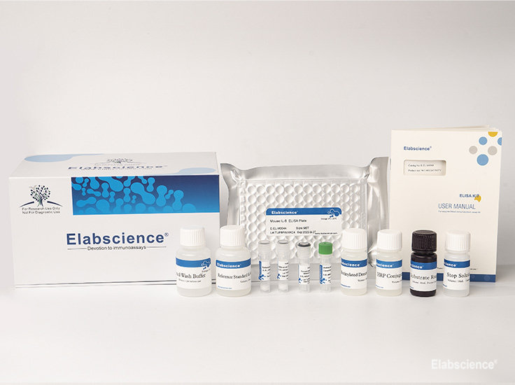 Rabbit Type I Collagen Detection Kit